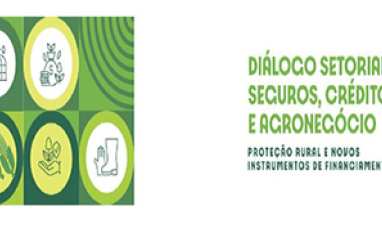 Seguro rural recua em 2025 e amplia debate no agro