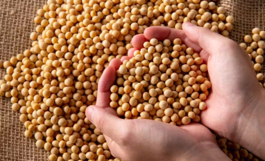 Diesel importado está mais caro que o biodiesel no país, diz consultoria