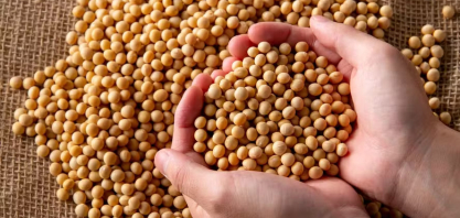 Diesel importado está mais caro que o biodiesel no país, diz consultoria