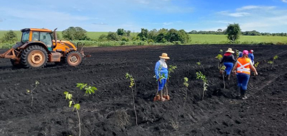 Alcoolvale realiza ação de reflorestamento no Cerrado