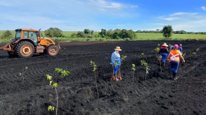 Alcoolvale realiza ação de reflorestamento no Cerrado