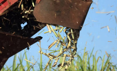 Repasse de alta do petróleo à gasolina elevaria preço do açúcar em US$ 0,03/lp