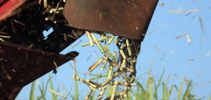 Repasse de alta do petróleo à gasolina elevaria preço do açúcar em US$ 0,03/lp