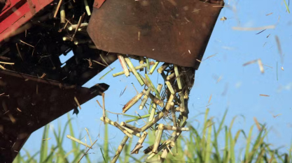 Repasse de alta do petróleo à gasolina elevaria preço do açúcar em US$ 0,03/lp