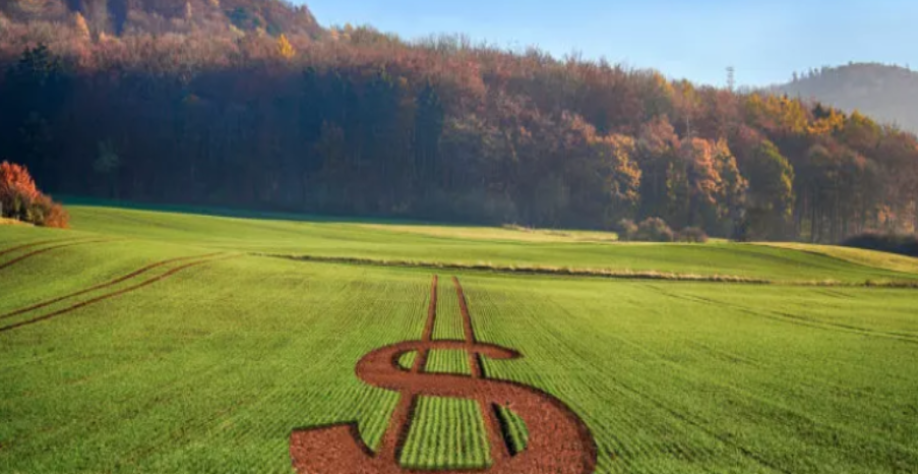 Ilustração/comprerural.com