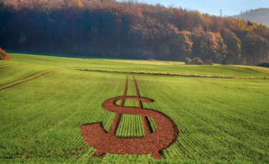 IR 2026 começa com novas regras e exige atenção redobrada do produtor rural