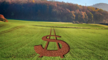 IR 2026 começa com novas regras e exige atenção redobrada do produtor rural