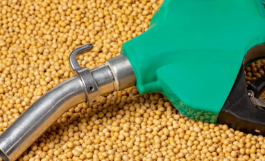 Petróleo em alta reforça biodiesel e eleva volatilidade dos óleos vegetais