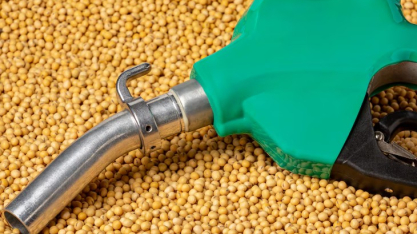 Petróleo em alta reforça biodiesel e eleva volatilidade dos óleos vegetais