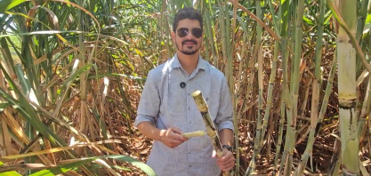 Mesmo em época de crise, a Beggio Lorenzo Agropecuária não reduz investimento em canavial. Pois com a baixa de preço, a saída é ter mais cana para compensar