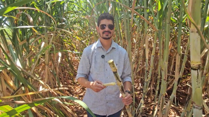 Mesmo em época de crise, a Beggio Lorenzo Agropecuária não reduz investimento em canavial. Pois com a baixa de preço, a saída é ter mais cana para compensar