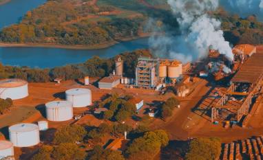 Volatilidade de preços desafia setor sucroenergético