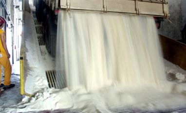 Agricultura: exportações do agro registra em fevereiro de 2026 melhor resultado para o mês