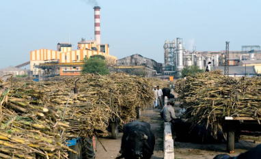 Produção de açúcar na Índia desacelera na segunda quinzena de fevereiro 