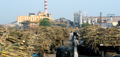 Produção de açúcar na Índia desacelera na segunda quinzena de fevereiro 