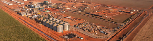 CerradinhoBio patrocina 14º Cana Substantivo Feminino