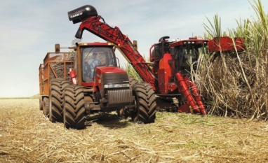 Moagem de cana no Norte e Nordeste sobe, com alta na produção de etanol e queda no volume de açúcar, diz NovaBio