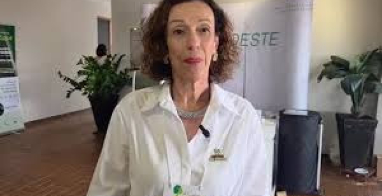 Participar do Cana Substantivo Feminino é momento de carregar as baterias para o decorrer do ano