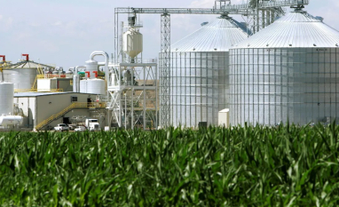 Etanol de milho responde por 25% da produção nacional