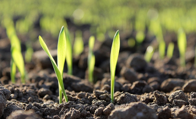 Governo altera regras de fertilizantes e reforça sanções