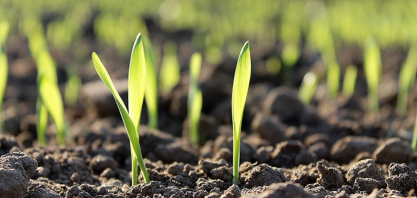 Governo altera regras de fertilizantes e reforça sanções