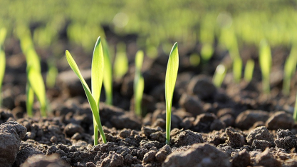 Governo altera regras de fertilizantes e reforça sanções