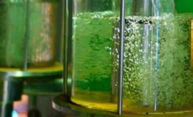 Etanol atinge maior produção da história e protege o consumidor frente à alta do petróleo