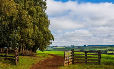 Alta de custos e queda de preços abrem espaço para revisão de contratos de arrendamento rural
