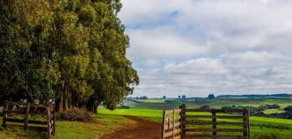 Alta de custos e queda de preços abrem espaço para revisão de contratos de arrendamento rural