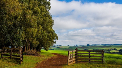 Alta de custos e queda de preços abrem espaço para revisão de contratos de arrendamento rural