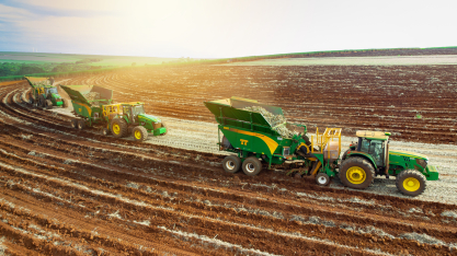 A TT do Brasil é patrocinadora Máster do 14º Cana Substantivo Feminino