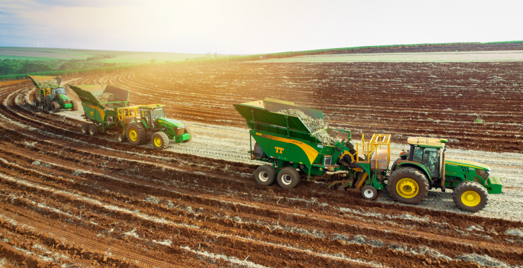 A TT do Brasil é patrocinadora Máster do 14º Cana Substantivo Feminino