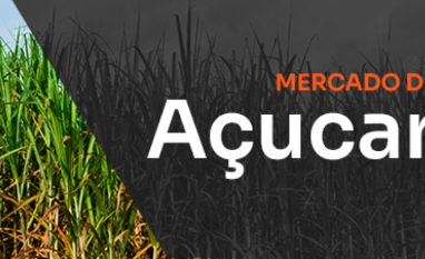 Todos os sinais apontam para alta — menos o mercado