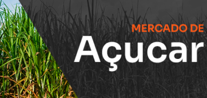 Todos os sinais apontam para alta — menos o mercado