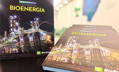 Da chegada da cana ao protagonismo em bioenergia em MS