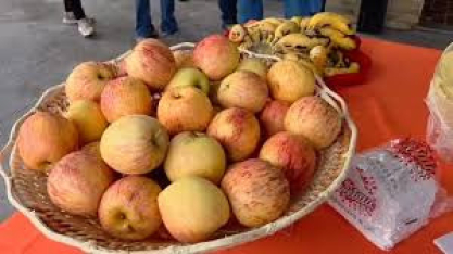 Café da manhã delicioso, feito a partir de produtos caseiros do Sítio Felicidade, recepciona as mulheres do Cana Substantivo Feminino