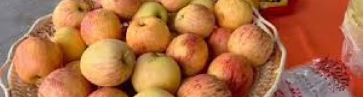 Café da manhã delicioso, feito a partir de produtos caseiros do Sítio Felicidade, recepciona as mulheres do Cana Substantivo Feminino