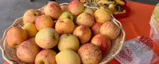 Café da manhã delicioso, feito a partir de produtos caseiros do Sítio Felicidade, recepciona as mulheres do Cana Substantivo Feminino