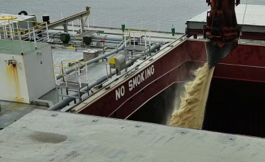 Açúcar: subiu menos do que devia