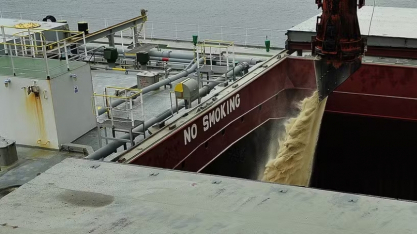 Açúcar: subiu menos do que devia