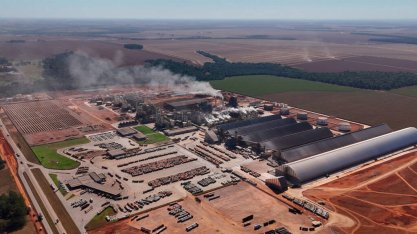 Brasil é líder mundial na produção de biocombustíveis e Mato Grosso tem papel estratégico no cenário nacional