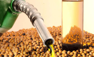 Alta de custos de combustíveis e fertilizantes pressiona governo a rever mistura de biodiesel