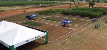 Solo arenoso deixa de ser problema e vira oportunidade no campo