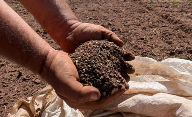 Insumos somam R$ 27,3 bi e diesel lidera custo da cana