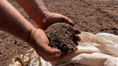 Insumos somam R$ 27,3 bi e diesel lidera custo da cana