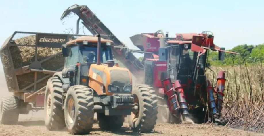 Mesmo nas áreas de topografia plana, como várzeas e chãs, as máquinas estão sendo utilizadas | Foto: Divulgação