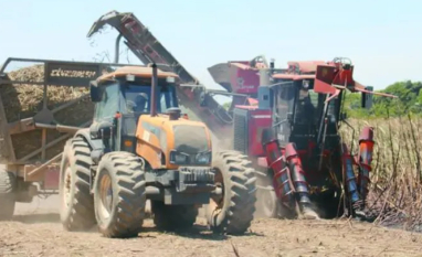 Mecanização avança na cana em Alagoas diante da falta de mão de obra