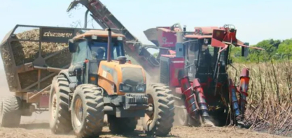 Mecanização avança na cana em Alagoas diante da falta de mão de obra
