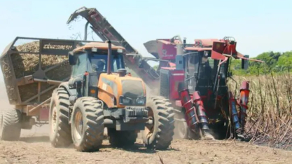 Mecanização avança na cana em Alagoas diante da falta de mão de obra