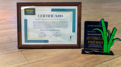 IAC entrega Prêmio de Variedades de Cana Modernas